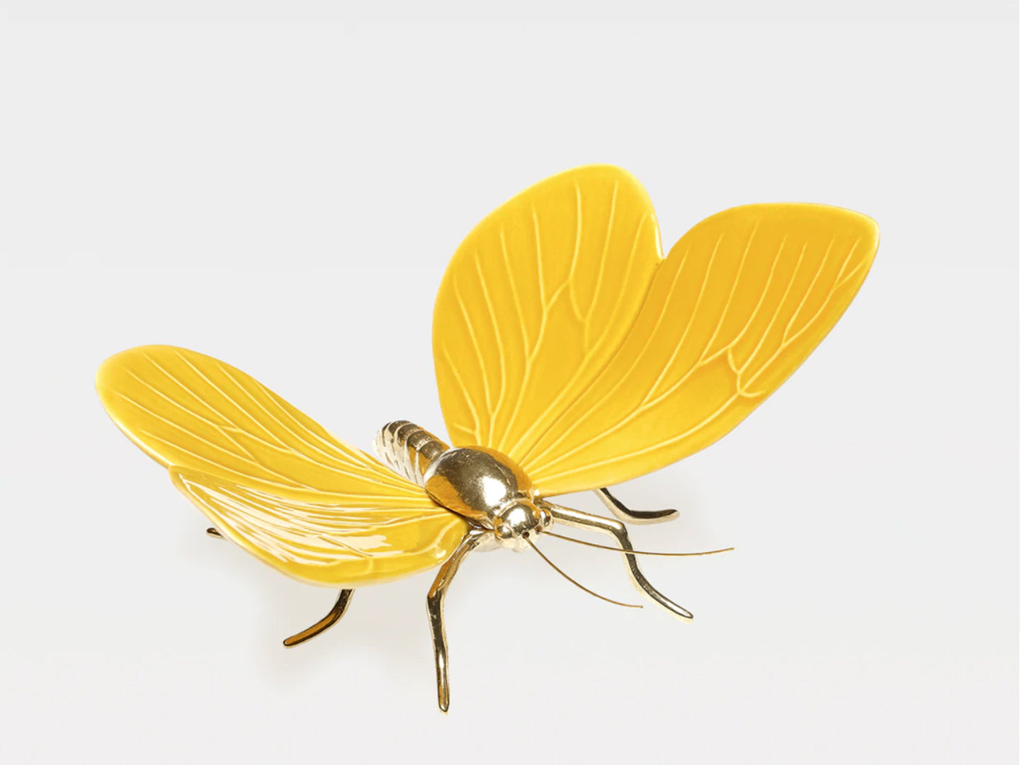 MARIPOSA cerámica disponible en 7 colores